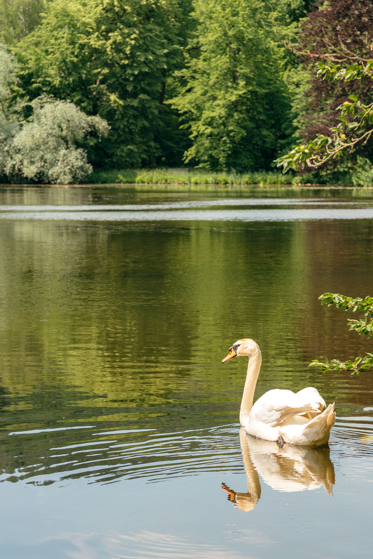 KulturTaler Fürstlich Greizer Park – Bild 2